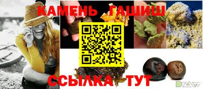 стафф Дубна