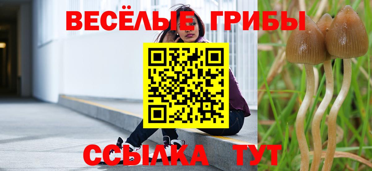 Надым  Псилоцибиновые грибы мицелий  Вход с VPN 
